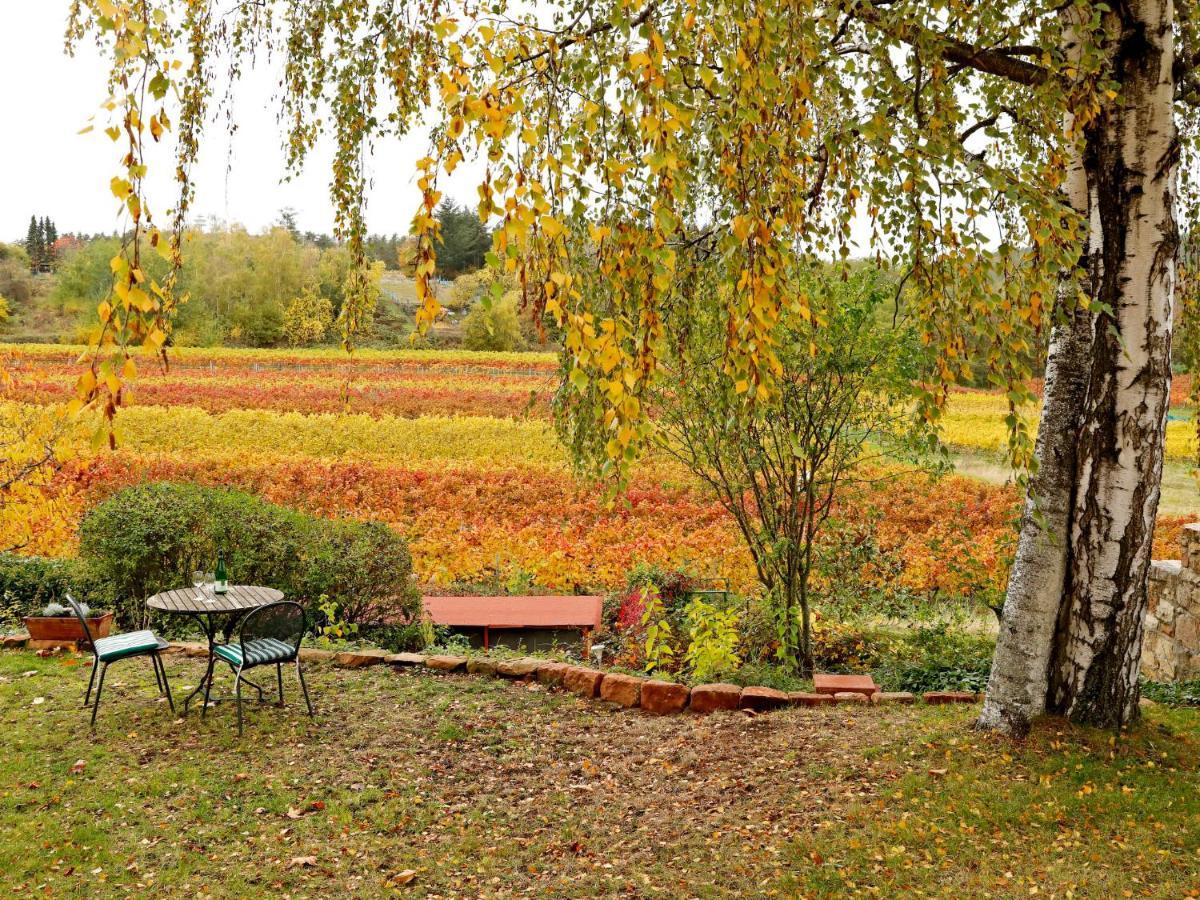Apartment Am Weinberg By Interhome Bad Dürkheim Dış mekan fotoğraf